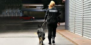 security-dog-800x400-300x150.jpg